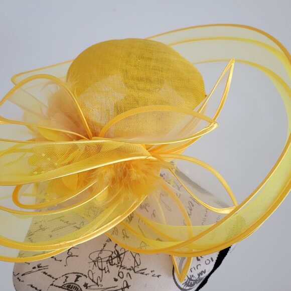 Paris Hand-Made Elegant Large Brim Ruffle Organza Hat
